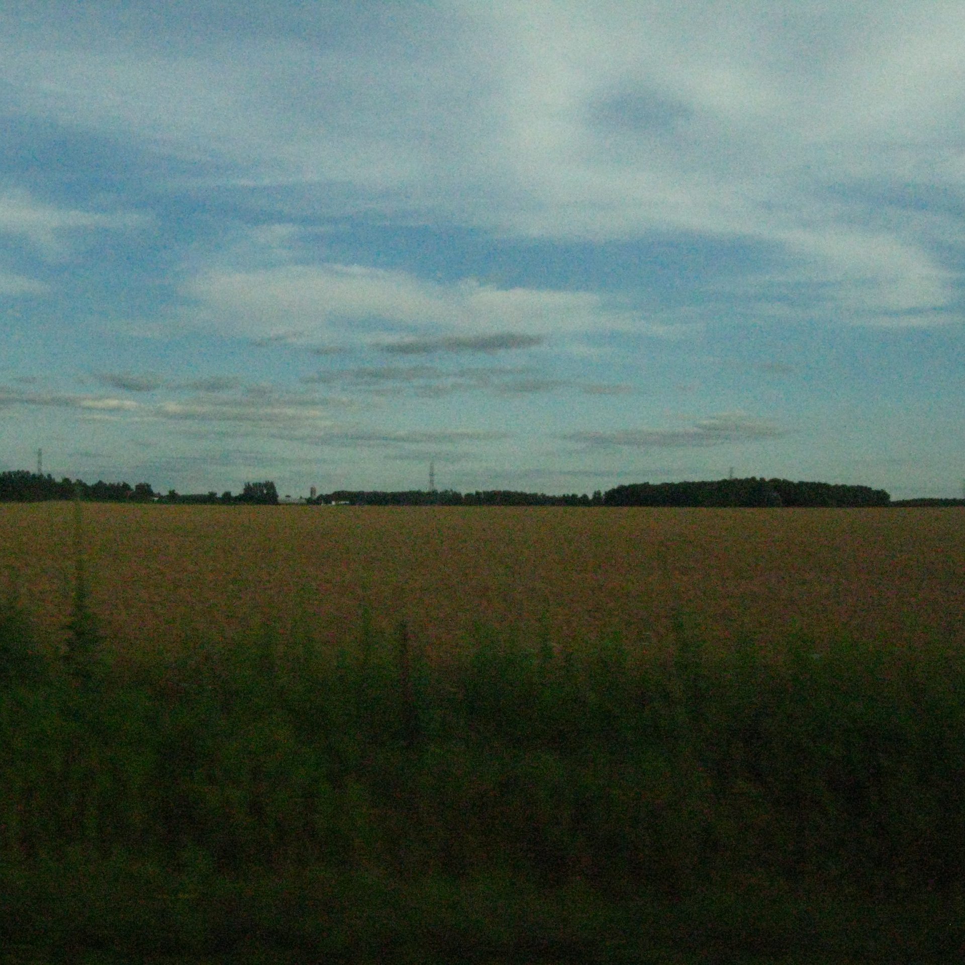 Field 1 album cover
