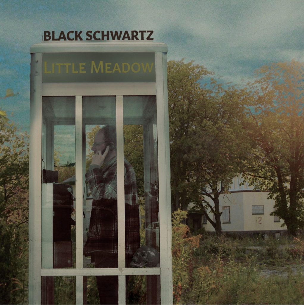 Black Schwartz - Little Meadow album cover