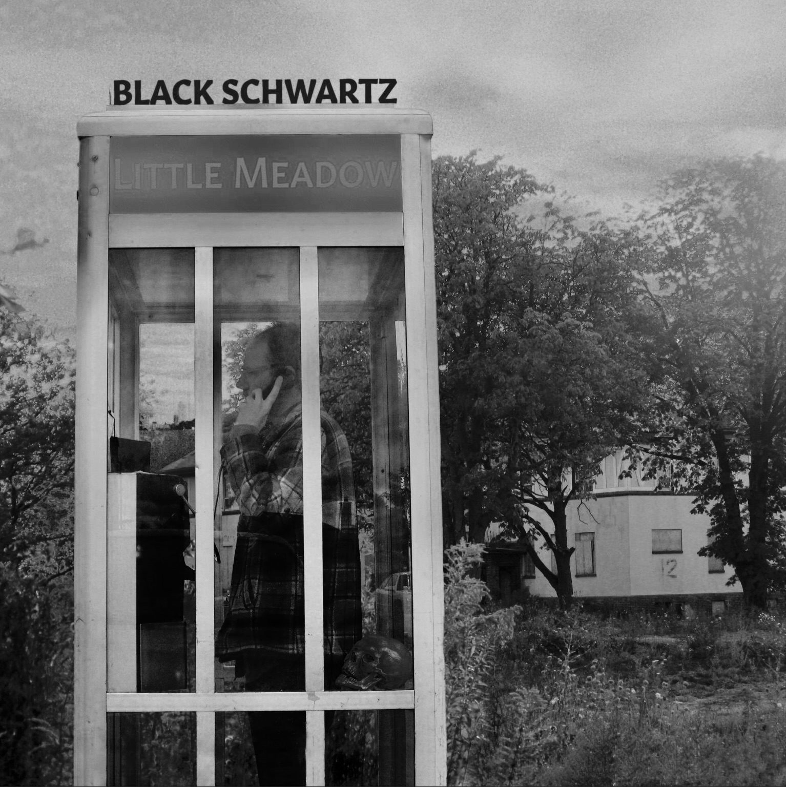 Black Schwartz &ndash; Little Meadow album cover (black and white)